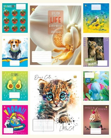 Тетрадь 12 л.линия Твердая ТЕ42101 12ЛВ1 МИКС, 25 шт. в уп. /600/, 10к.