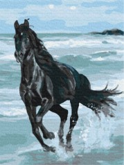 Картина по номерам: Черный конь 40*50