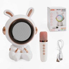 Караоке 1 мікрофон, режими підсвічування, вбудований акумулятор, Bluetooth, слот для TF Card, USB-type-c кабель, USB-роз’єм, AUX-роз’єм, колонка з підсвічуванням, зміна голосу, в кор. /36/