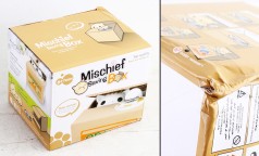 УЦЕНКА 30% Скарбничка-дитяча інтерактивна "Злодюжка-Кіт" 12*10*9,2см,3в.,на батар.(1*60)