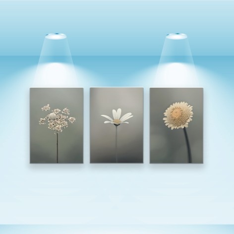 Набір постерів Riviera Blanca Квіткова імла 3 шт 28x40 см (PS-002)