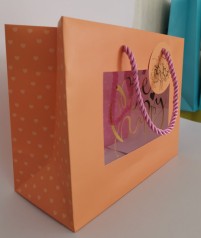 Пакет подарочный бумажный, 23х18х10 см, бумажный мелованный, 140г/м2 5 шт. в уп.