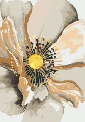 Набор для росписи по номерам с золоченой талью 