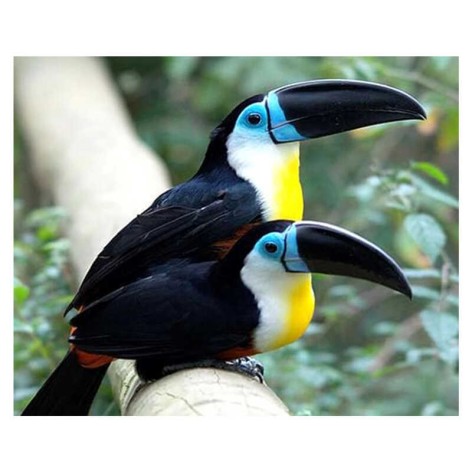 Алмазна мозаїка 