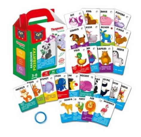 Игра развивающая Vladi Toys обучающая Академия развития карты на кольце 
