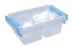 Контейнер для пищевых продуктов 0,6 л двойной прямоугольный (Берлускони Твикс)