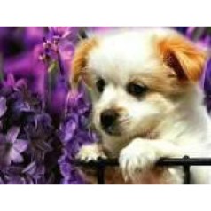 Алмазная мозаика по номерам 30*40 