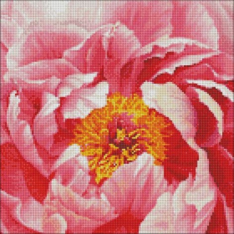 Набір з алмазною мозаїкою 