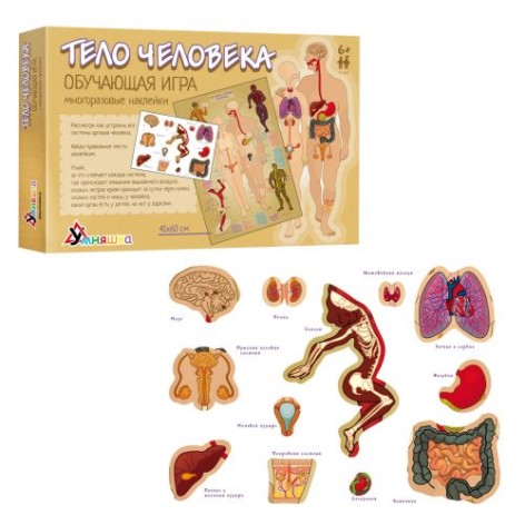 Навчальна гра з багаторазовими наклейками 