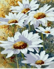 Набір для розпису по номерах Ніжний цвіт ромашки Strateg розміром 40х50 см (GS1519)