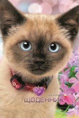 Щоденник 2234 70г, 7БЦ, 165х240 мм, 40 арк., Матова ламінація