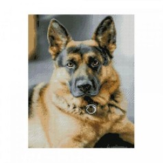 Алмазная мозаика 