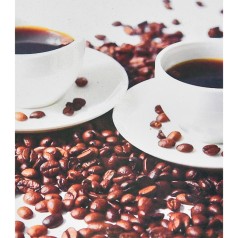 Алмазная картина Ароматный разговор Strateg 40х50 см (SK88234)