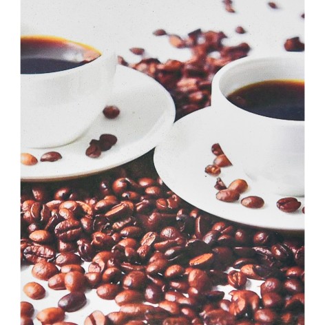 Алмазная картина Ароматный разговор Strateg 40х50 см (SK88234)