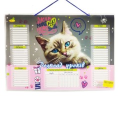 Розклад уроків MIC 