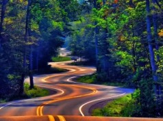 Алмазна мозаїка за номерами 40*50 