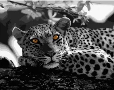 Набор для росписи по номерам Глаза леопарда Strateg размером 40х50 см (DY008)