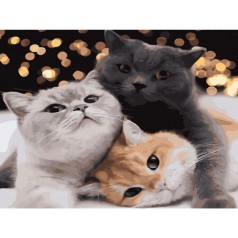 Роспись по номерам Три кота