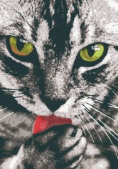 Картина по номерам 