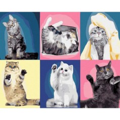 Розпис за номерами Котячий колаж
