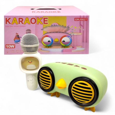Детский набор Караоке MIC "Птичка" зеленый с микрофоном и световыми эффектами