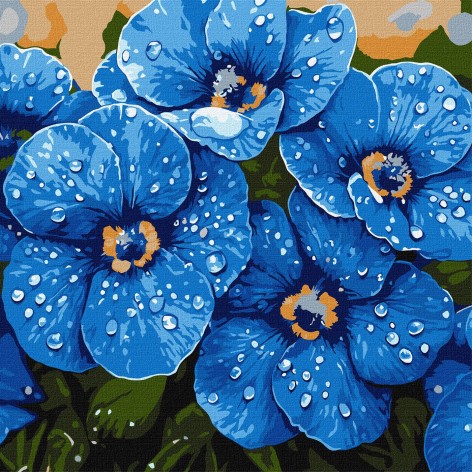 Набір для розпису по номерах Ідейка 