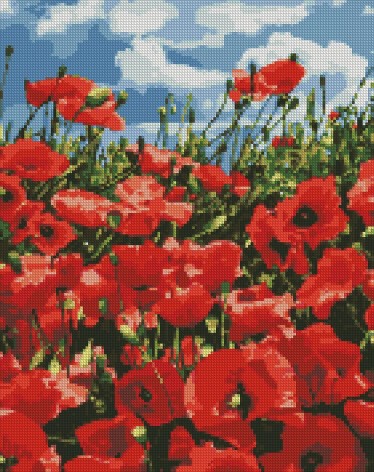 Набор с алмазной мозаикой "Удивительные маки" 40х50 см