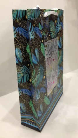 Пакет подарочный бумажный, 25х39х8 см, бумажный мелованный, 140г/м2+матовая ламинация +тыс. райд. фоль. по проз. возраст. 5 шт. в уп.