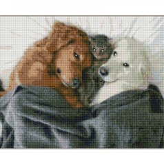 Алмазная мозаика 