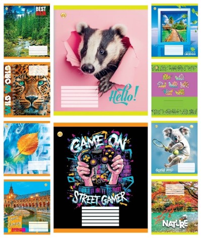 Тетрадь 18 листов клетка Твердая ТА51202 18КВ3 МИКС, 20/400, 10к. цена за 20 шт.