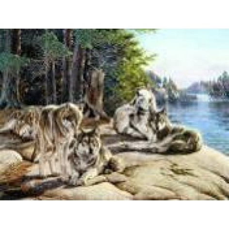 Алмазна мозаїка за номерами 30*40 