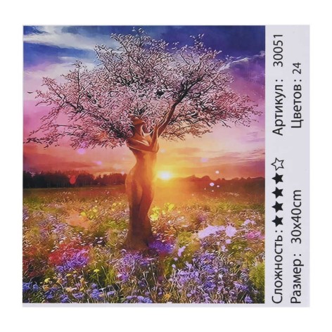 Картина по номерам TK Group, 30х40см, в кор.
