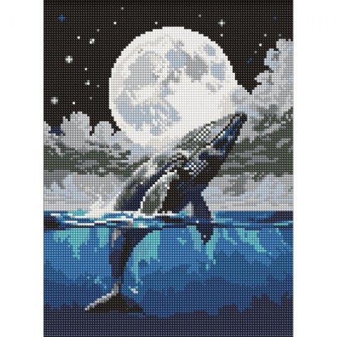 Набор с алмазной мозаикой "Прыжок к небесам" 30х40см