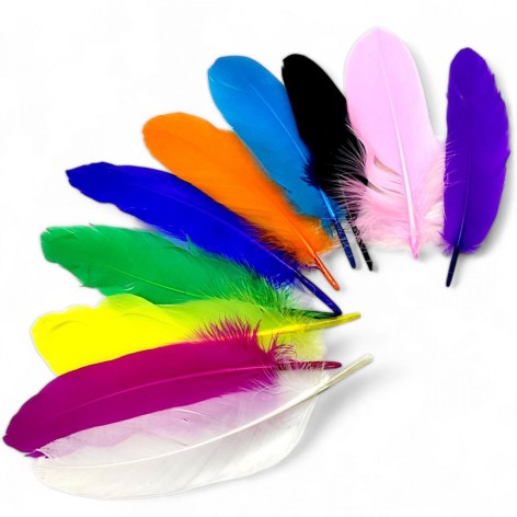Набір для творчості - Пір'я кольорові