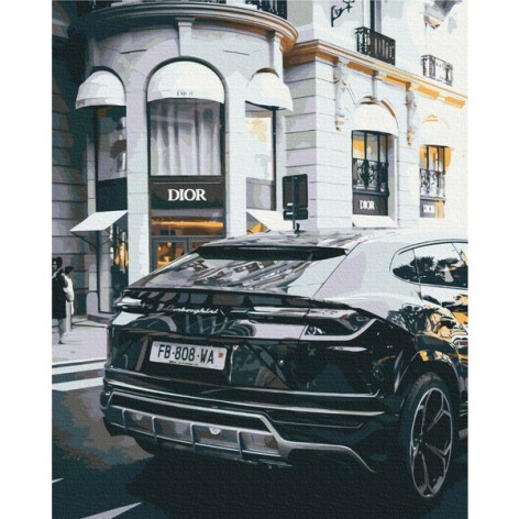 Картина за номерами: Розкішне життя 40*50 BS52523