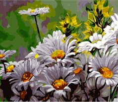 Набір для розпису по номерах Ромашки -2 Strateg розміром 40х50 см (GS1158)