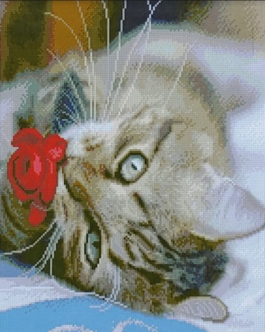 Набор для творчества алмазная картина Котик с цветком Strateg размером 40х50 см (D0007)