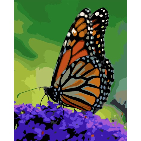 Картина по номерах 0076 ОРТ Помаранчевий метелик 40*50