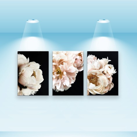 Набір постерів Riviera Blanca "Ясно-білі півонії" 28x40 см, 3 шт (PS-008)