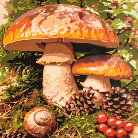 Картина за номерами Strateg 