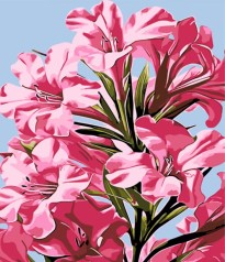 Набір для розпису по номерах Стратег 