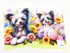 УЦЕНКА 30% Папка Г-форма А4+ Р0214 (1 отделение), цена за 4 шт. //