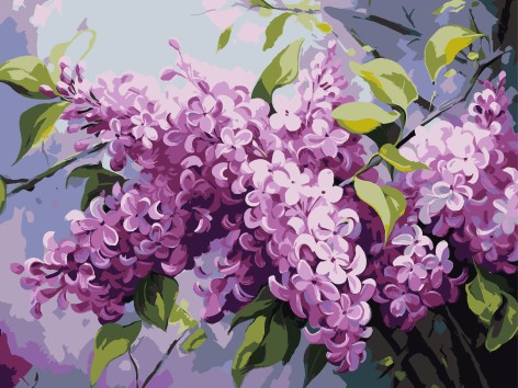 Картина за номерами Strateg 