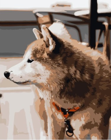 Набор для росписи по номерам Взгляд хаски Strateg размером 40х50 см (DY120)