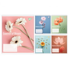 А5/36 лін. Yes Essence of Bloom, зошит учнівський загальний, ціна за 15 шт. //