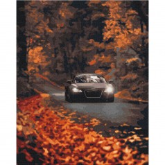 Картина по номерам: Осенняя дорога