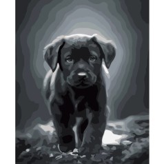 Картина за номерами 