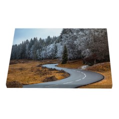 Інтер'єрна картина Гірська дорога (28x40) (ПС-265)