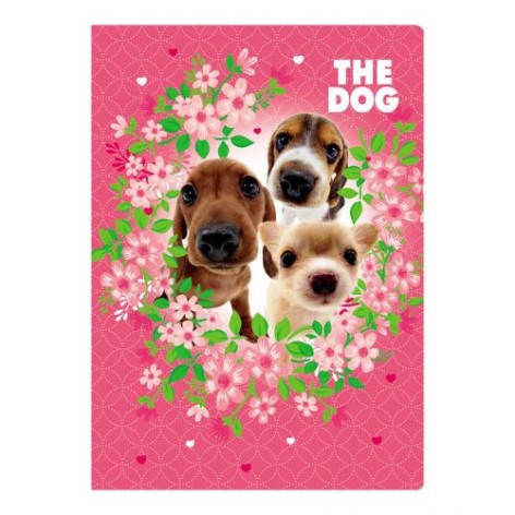 Папка на резинці 