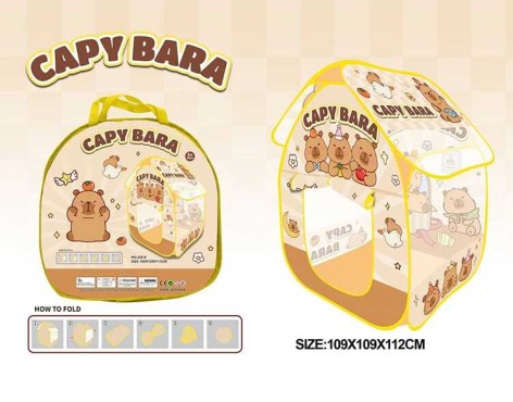 Намет в сумці /48/